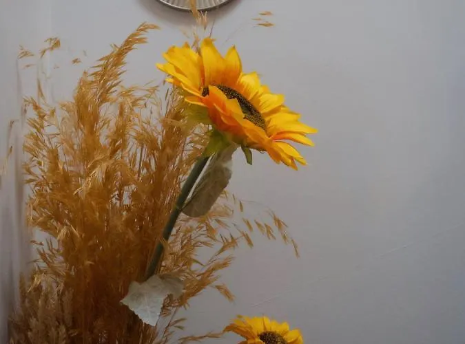 Calendas De Atapuerca Cb 度假居 *